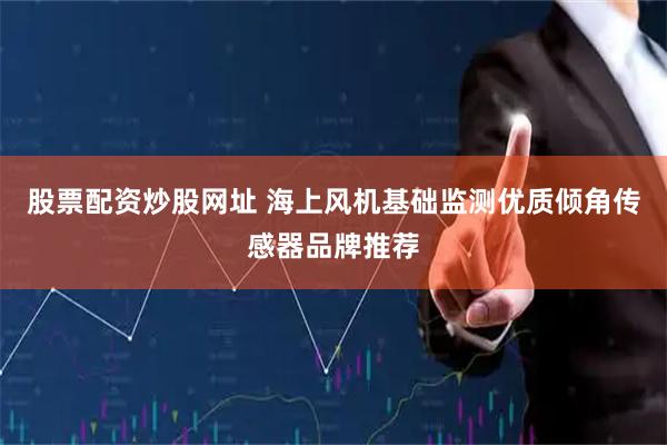 股票配资炒股网址 海上风机基础监测优质倾角传感器品牌推荐
