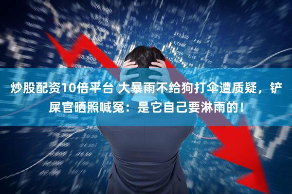 炒股配资10倍平台 大暴雨不给狗打伞遭质疑，铲屎官晒照喊冤：是它自己要淋雨的！